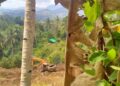 Diduga PETI Beroperasi di Perkebunan Nuntab, Warga Desak Polda Sulut Turun Tangan dan Periksa Ko Chandra